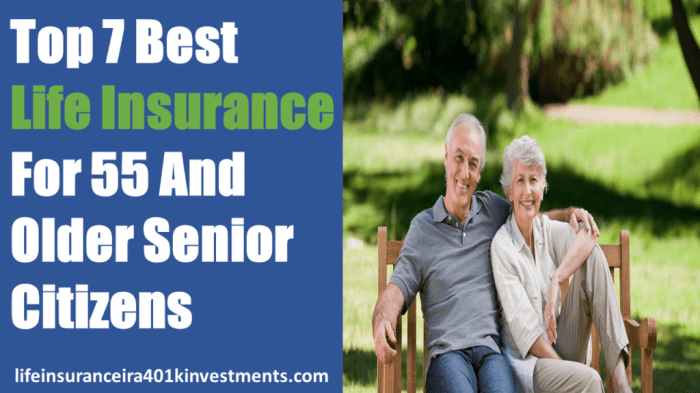 Best State Farm insurance for seniors