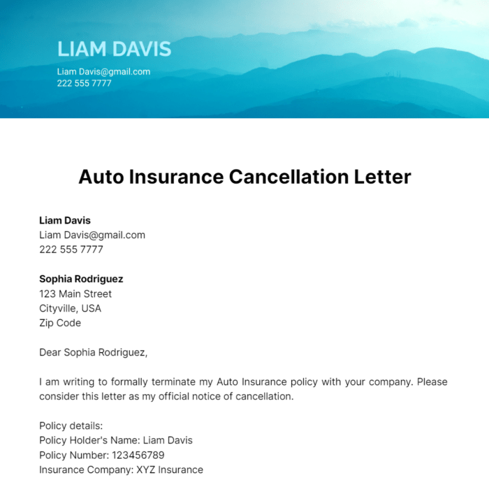 State Farm car insurance cancellation policy