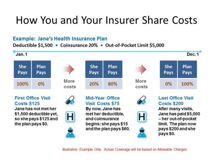 State Farm insurance deductible options