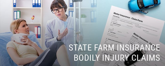 State Farm personal injury protection insurance