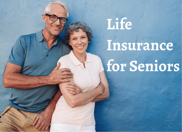 Best State Farm insurance for seniors