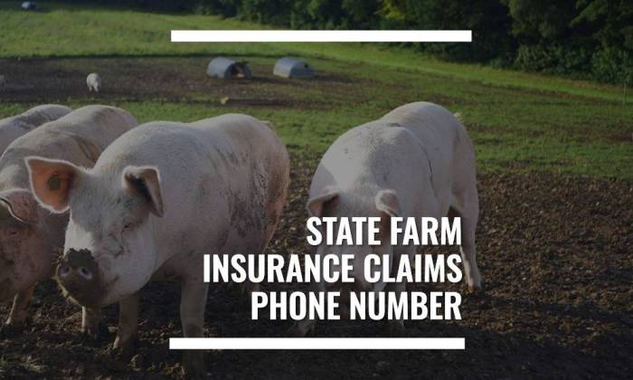 Pocket screenshot farm state insurance affordable car name