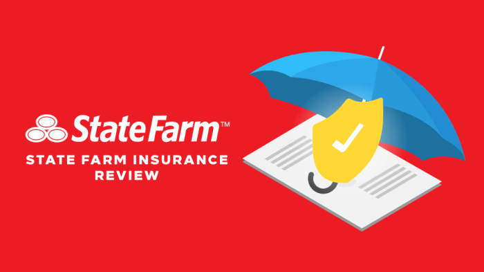 State Farm personal injury protection insurance