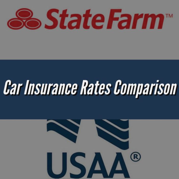 Compare State Farm and USAA car insurance